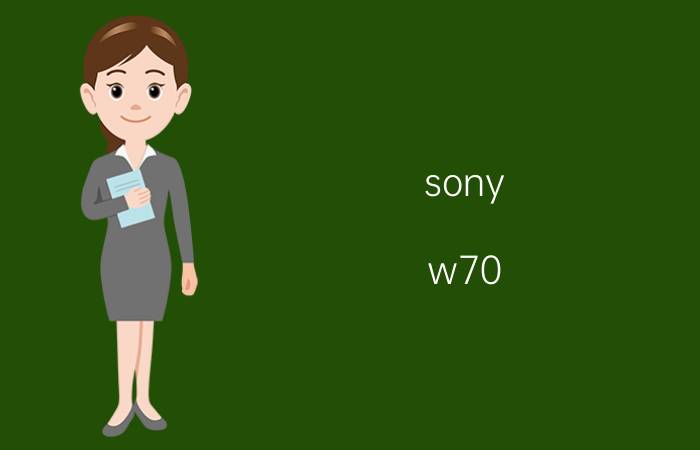 sony w70，SONY DSC-W70相机大概价格？